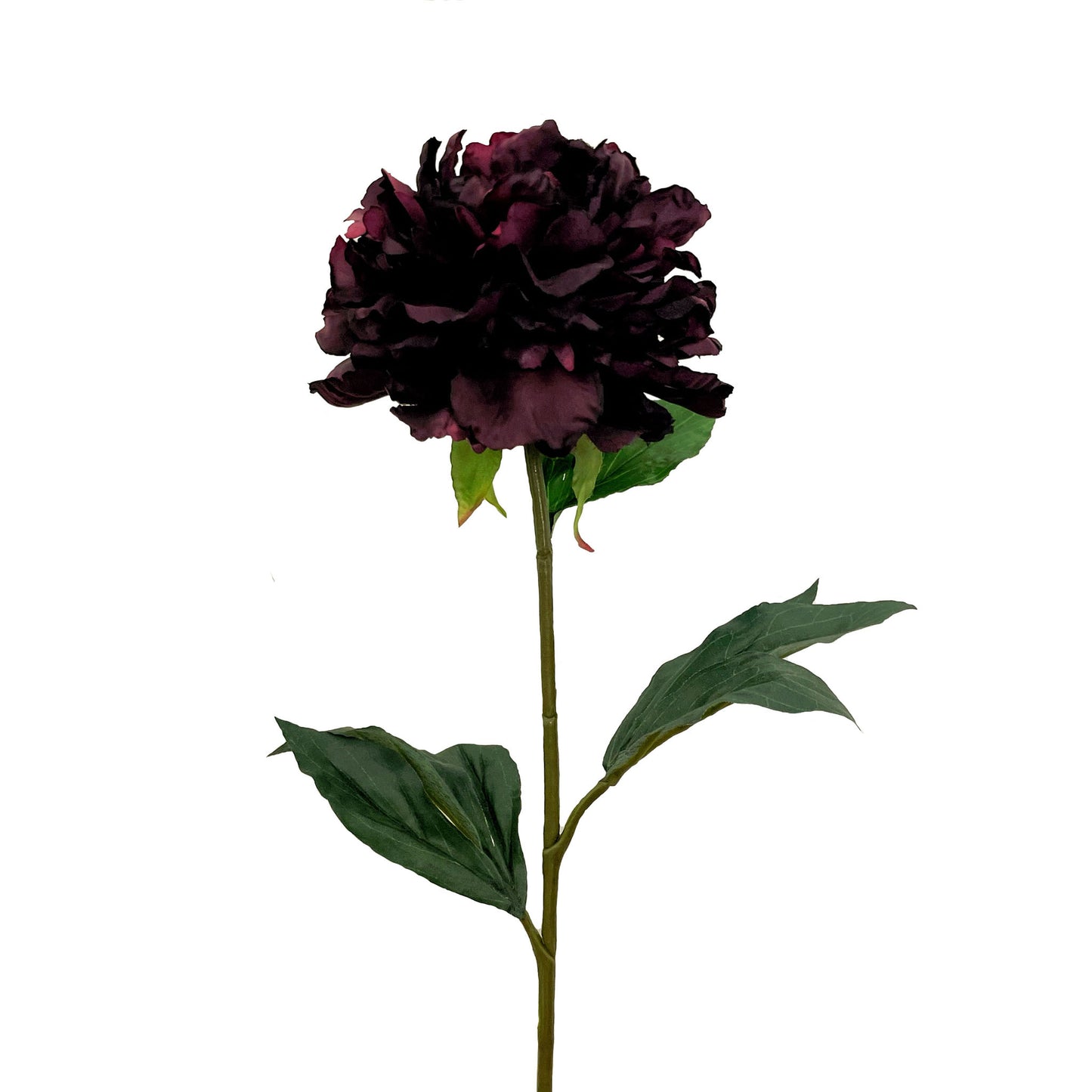 Faux Peony Stem