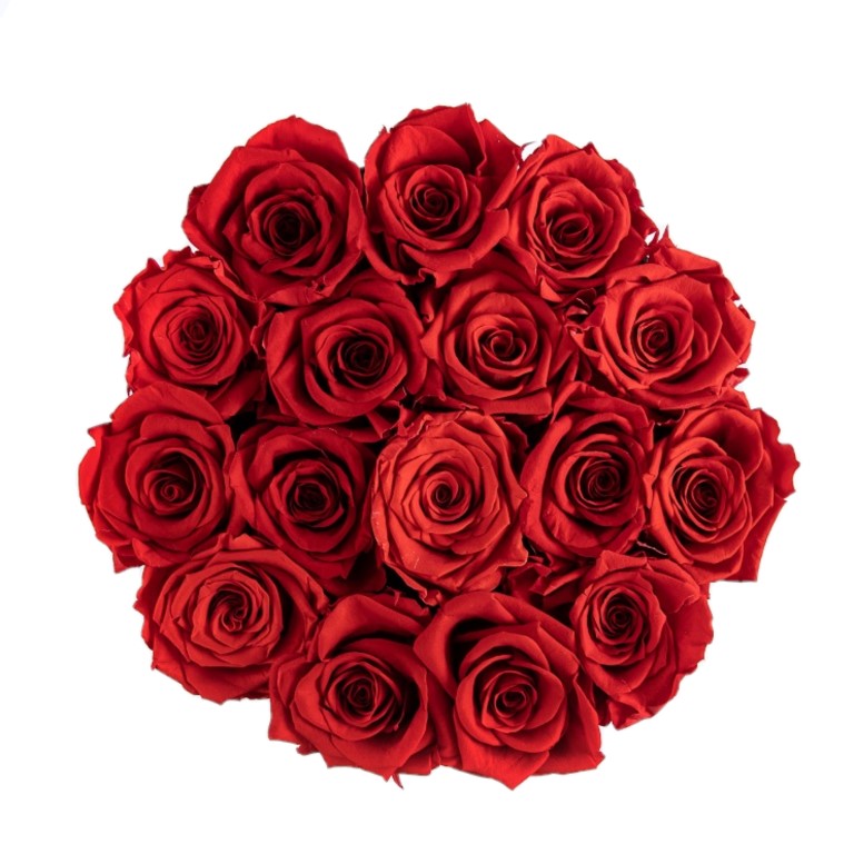 Luxury Red Eternal Roses that last one year