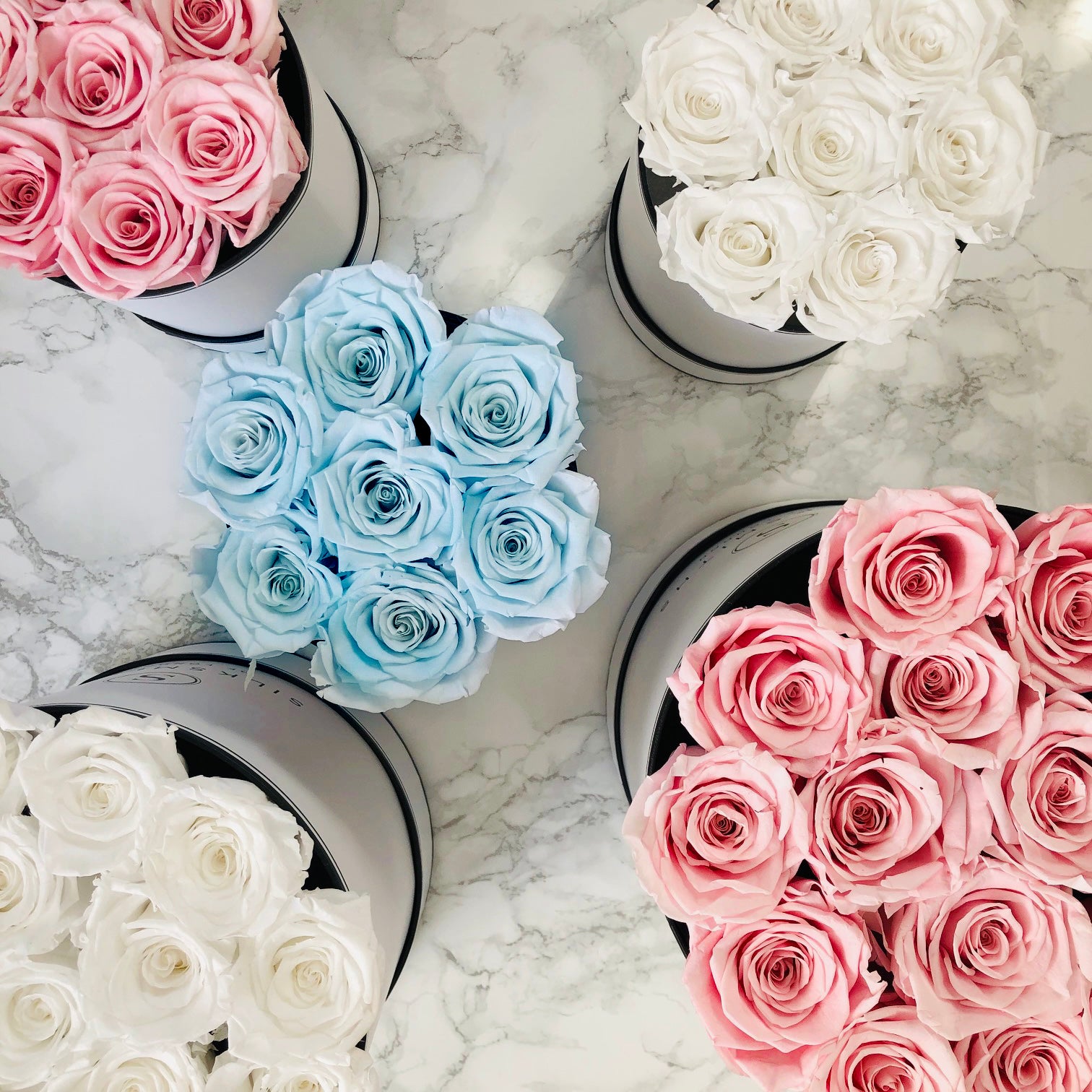 70 Eternal Roses Eternal Roses – Silksmiths of London