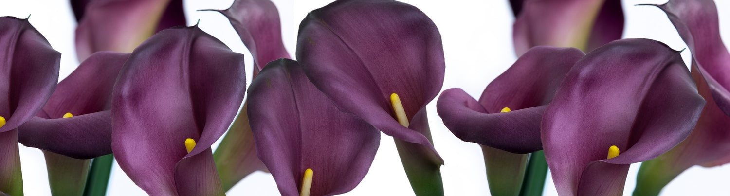 Artificial luxury plum calla lillies