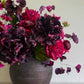 Cerise & Damson Sonata