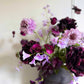 Lilac & Damson Sonata