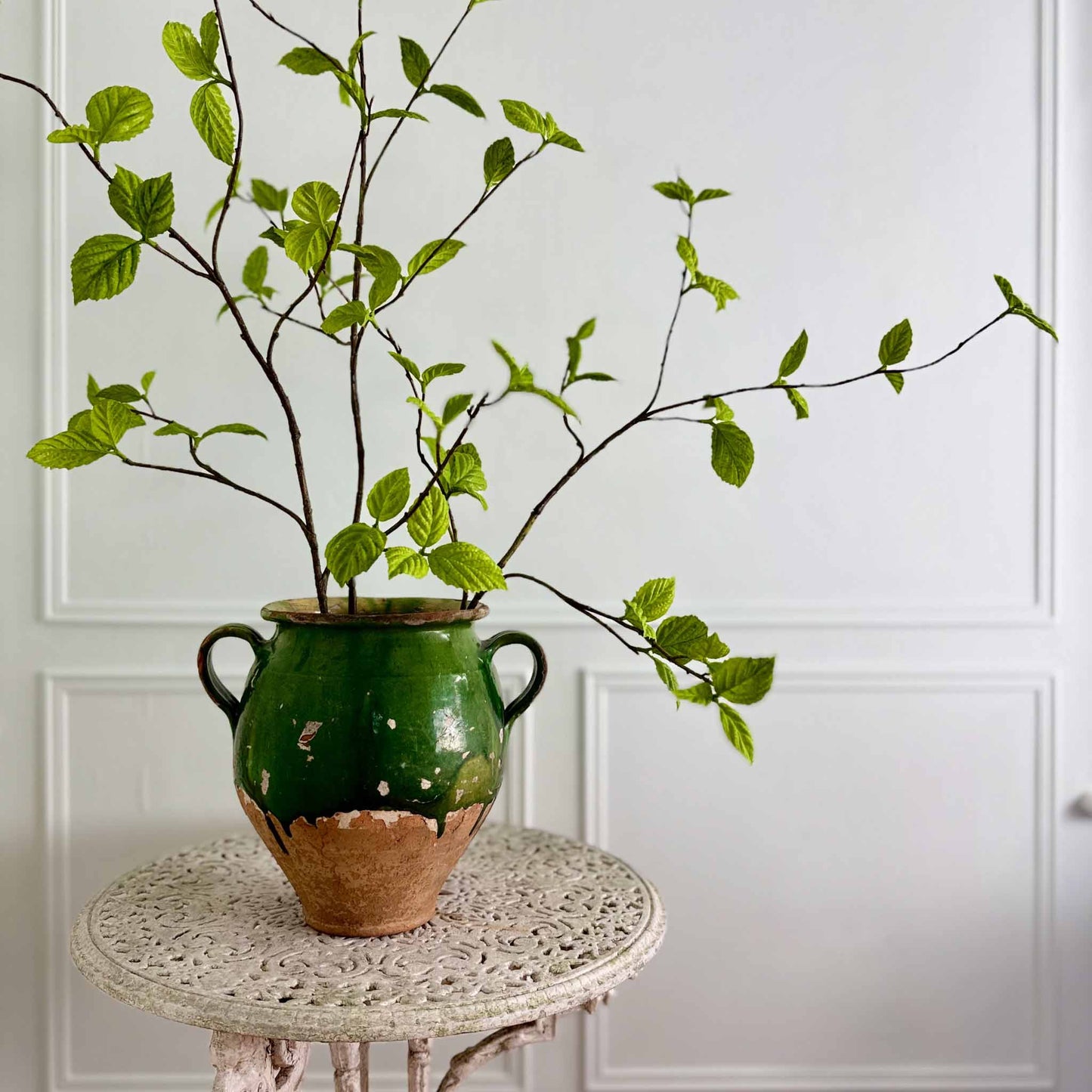 Spring Birch Leaf Branches