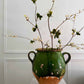 Spring Berry Branches