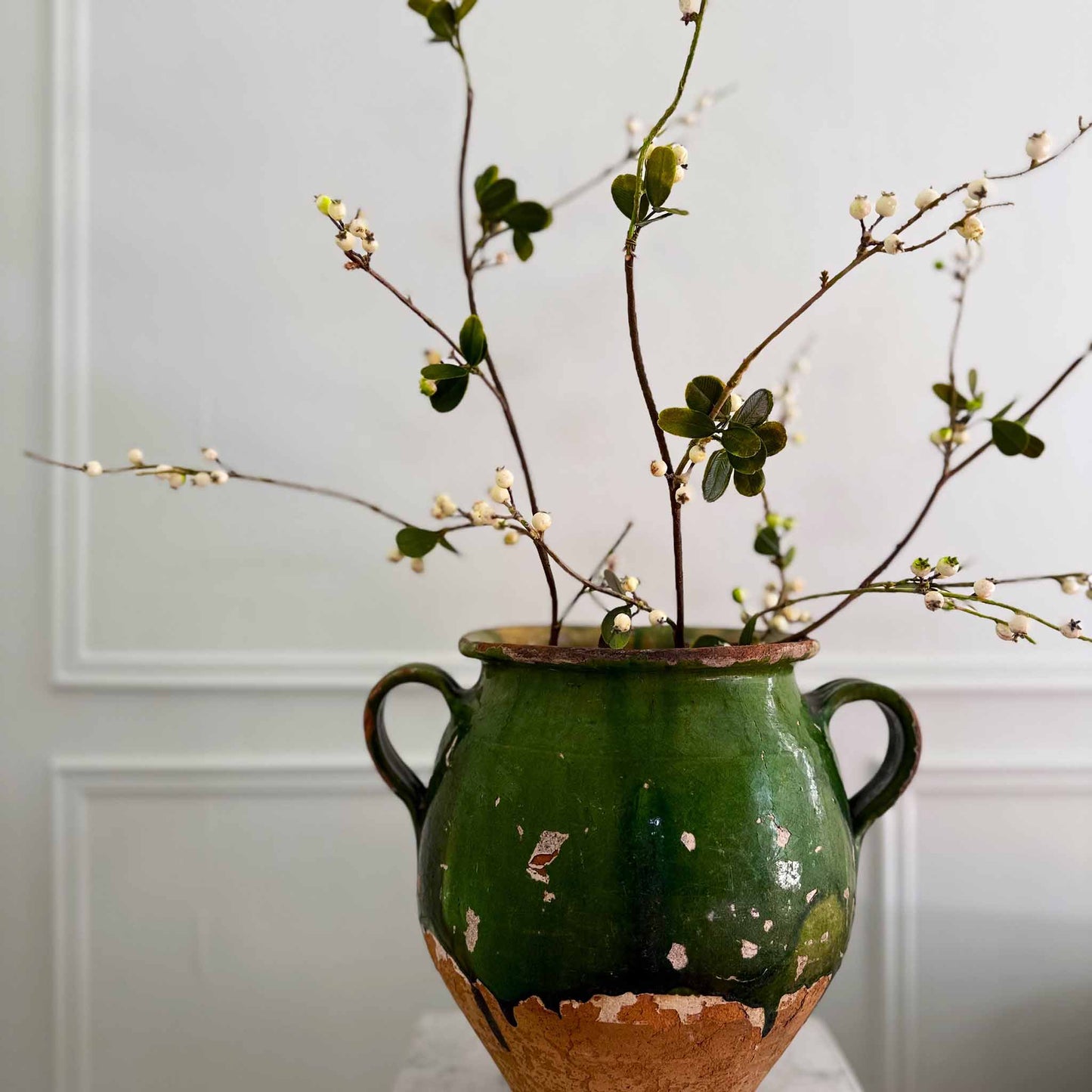 Spring Berry Branches