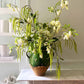 The Botanist's Bouquet