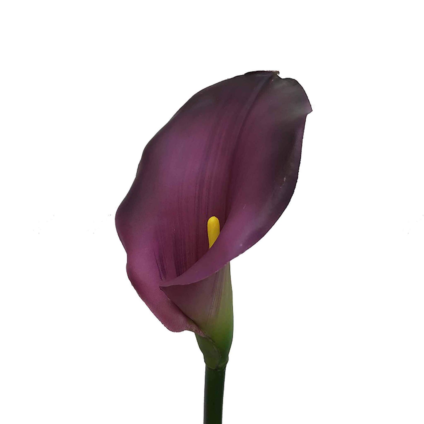 Faux real touch dark plum calla lily stem