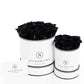 Black Eternal Rose Gift Boxes with Gift Card