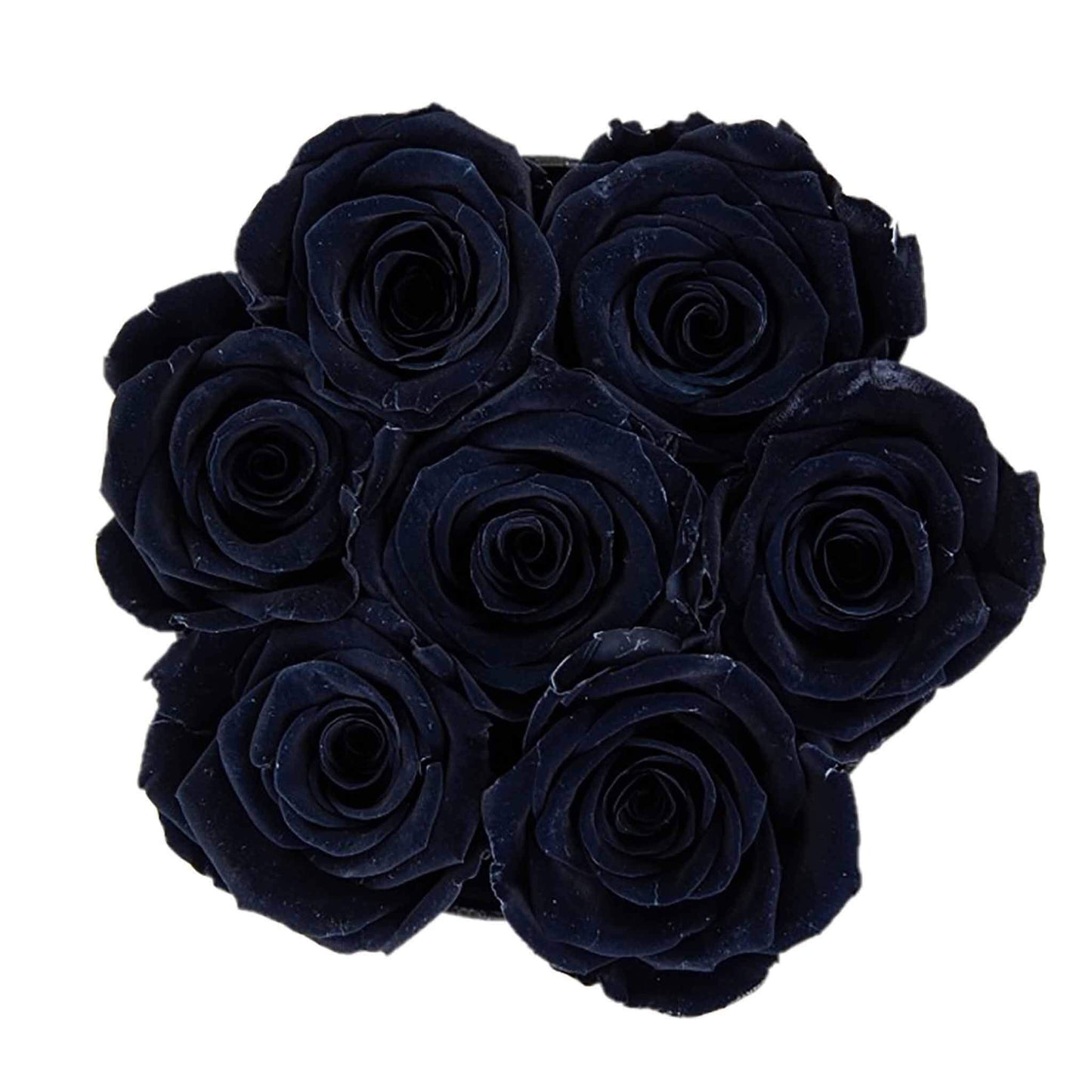 Black Preserved Eternal Roses