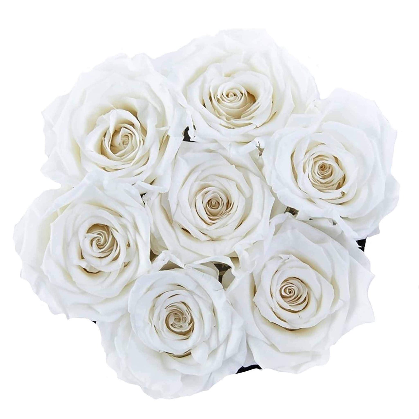 Luxury Small White Eternal Roses