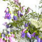 Campanula Summer Meadow - Deluxe Bouquet